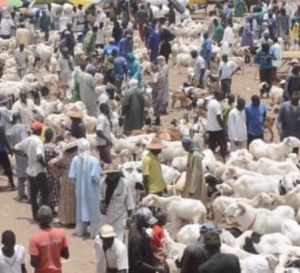 Marché hebdomadaire de Dahra : Deux personnes meurent en 2 heures ce dimanche