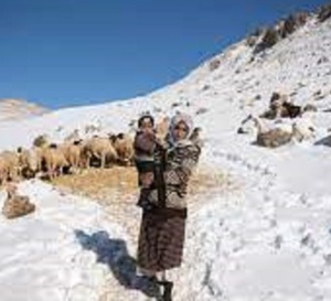 Neige en Afrique: ces cinq pays ont la chance de se familiariser plus avec ce phénomène hivernal