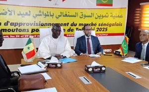 Tabaski 2025 : le Sénégal prévoit d’importer 250 000 moutons…