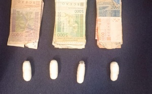Lutte antidrogue : des saisies importantes de cocaïne et de chanvre indien à Dakar et Louga