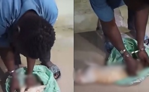 Médina : Un vendeur de brochettes interpellé avec un chat mort, l’affaire intrigue