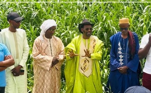 Dagana : Swami Agri soutient les éleveurs avec 200 hectares de fourrage bio en période de soudure