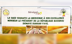 Bassirou Diomaye Faye lance la récolte de riz à Saré Walo Pendao