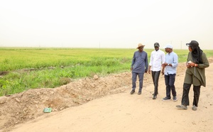 🌾 Souveraineté alimentaire : Le Président Diomaye Faye visite le Projet agricole de Savoigne, modèle de développement rural intégré