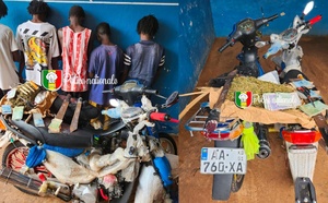 Kolda : Cinq arrestations pour trafic de ch@nvre indien et détention d’armes blanches