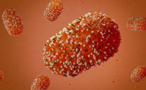 Kédougou : mesures préventives renforcées aux frontières contre le virus mpox