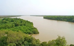 Recul des niveaux d’eau dans le bassin du fleuve Gambie : bulletin du 3 septembre 2025