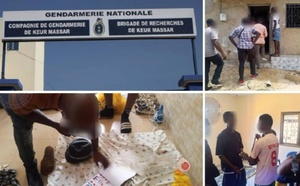 Démantèlement du réseau frauduleux « Qnet Infinity Millenials » à Niacoulrap : 20 victimes étrangères secourues