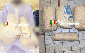 Kaolack : 3,6 kg de ch@nvre indien saisis dans la forêt de Thioyene Hamady Mala