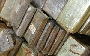 Kolda : saisie de 240 plaquettes de coc@ïne d’une valeur de 21,7 milliards FCFA