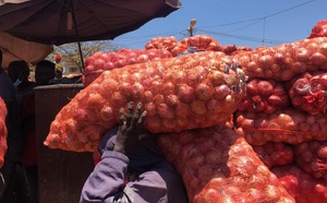 Sénégal : levée du gel des importations d’oignons après épuisement des stocks locaux