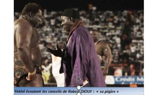 Hommage à Mohamed NDIAYE, comme si Robert nous était conté