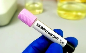 Fièvre de la Vallée du Rift à Saint-Louis : 124 patients guéris sur 158 cas recensés