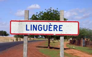 Linguère : lancement des opérations de désencombrement public dès vendredi