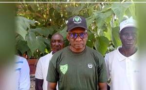 Matam : un million d’hectares de terres dégradées à cause des feux de brousse et de la déforestation