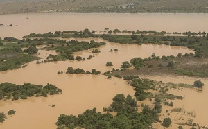 Inondations dans le delta du fleuve Sénégal : 323 hectares de cultures détruits selon la SAED