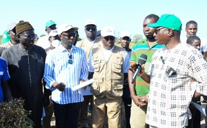 Campagne arachidière 2024-2025 : le Sénégal en route vers un record de plus de 900 000 tonnes