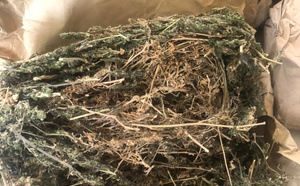 Importante saisie de produits prohibés à Fimela , dans la région de Fatick