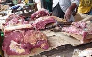 Sédhiou : Démantèlement d’un réseau de vol de bétail et d’abattage clandestin