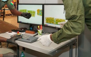 Audience à Mbour : deux prévenus jugés pour transport d’armes et de munitions