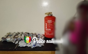 Kolda : une convoyeuse interpellée après la saisie de substances illicites dissimulées