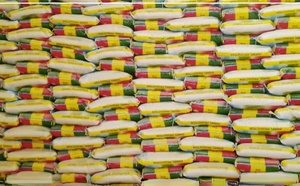 Vallée du fleuve Sénégal : les riziculteurs réclament un meilleur écoulement du riz local