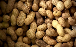 Contrôle du prix de l’arachide : des missions annoncées dans les marchés hebdomadaires