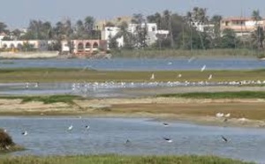 Technopôle de Dakar : joyau écologique sous pression