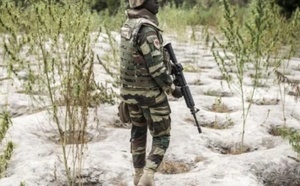 MINUSCA : un militaire sénégalais tué et sept blessés dans un accident en Centrafrique