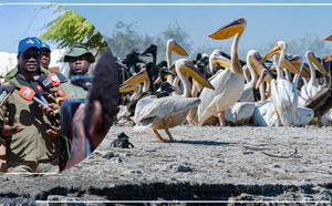 Vers des partenariats public-privé pour une gestion durable du Parc national des oiseaux de Djoudj