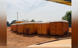 Kédougou : forte progression des superficies et de la production cotonnières pour la campagne 2025-2026