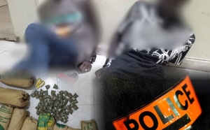 Fatick : deux individus arrêtés avec 54 kg de produit illicite lors d’une opération en zone forestière