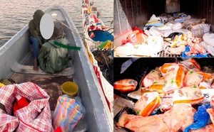 Les Douanes sénégalaises saisissent près de 28 tonnes de cuisses de poulet introduites frauduleusement