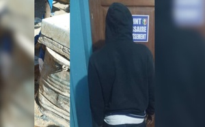 Grand-Yoff : un charretier interpellé pour une opération d’abattage non autorisée au rond-point Liberté 6