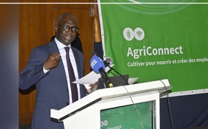 Agriculture : le Sénégal sollicite 1 250 milliards FCFA pour accélérer la souveraineté alimentaire