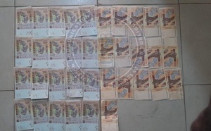 Kolda : démantèlement d’un réseau de faux billets et saisie de denrées