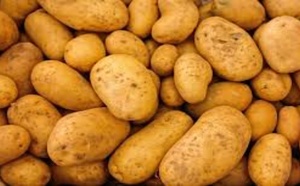 Le gouvernement régule les récoltes pour soutenir les petits producteurs