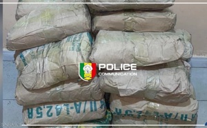 Kaolack : 25 kg de chanvre saisis lors d’une opération ciblée
