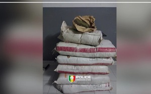 Sédhiou : 80 kilos de chanvre saisis après une interception nocturne