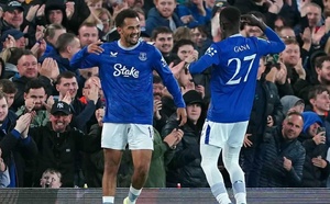 Les Lions en forme avant les matchs amicaux : performances remarquées en Europe