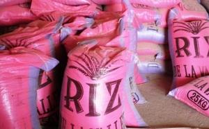 Riz local : de nouvelles mesures annoncées pour soutenir la production nationale au Sénégal