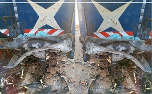 Accident sur l’axe Boulel-Diout Nguel : quatre morts et un blessé