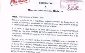 Préparation de la Tabaski 2026 : le gouvernement serre la vis et facilite l’approvisionnement en moutons