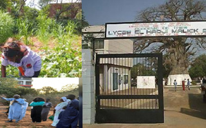 Thiès : le lycée Malick Sy mise sur l’agriculture avec un champ-école innovant