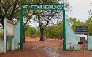 Tambacounda : un nouveau plan stratégique en préparation pour le parc du Niokolo-Koba