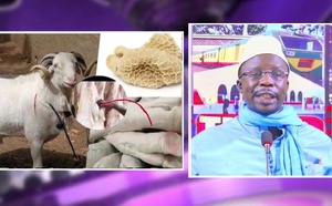 Li Ci Deuk Bi Ak Dame Sakho Ci Kharou Tabaski !