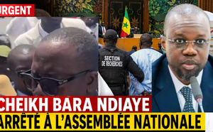 Cheikh Bara Ndiaye arrêté à l’Assemblée nationale par la Section de Recherches après l’investiture de Sonko