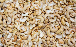 Filière anacarde : un prélèvement de 20 FCFA par kilogramme de noix de cajou exportée à l’étude