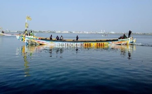 808 m³/s lâchés à Diama : le fleuve Sénégal sous surveillance constante