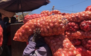 Sénégal : le gel des importations d’oignons officiellement levé